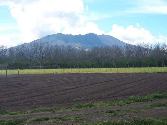 VEDUTA